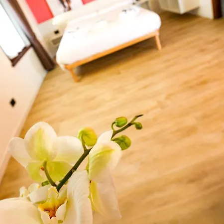 Pensionat Ciclamino Nature Retreat 3*